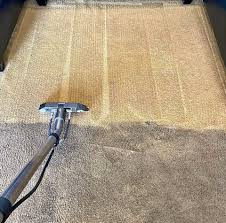 professional carpet cleaning in the dfw