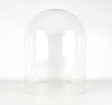 Glass Dome Display Cloche Jar Bell