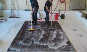 rug cleaning service glendale zest