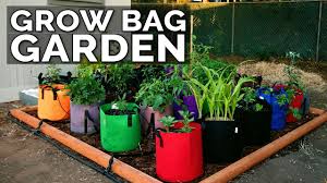 start a grow bag garden and water it