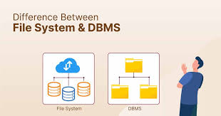 file system vs dbms what are the