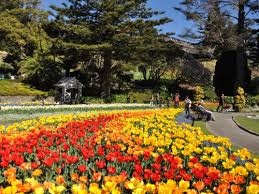 Join us for a future event or exhibit or simply make a reservation to roam and enjoy the garden's beauty. Wellingtons Botanischer Garten Wellington New Zealand