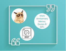 It feels just like yesterday since you started working with us, whereas it's already been a year. 46 Grumpy Cat Approved Work Anniversary Memes Quotes Gifs