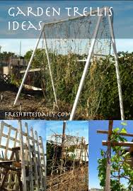 garden trellis ideas for climbing vines