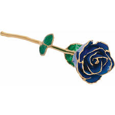 blue sapphire colored rose