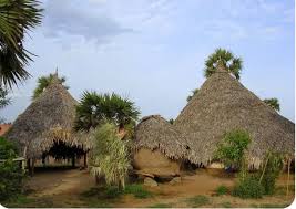 Andhra S Cyclone Resistant Mud Houses
