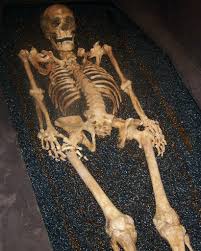 Résultat de recherche d'images pour "small photos of lying skeleton#"