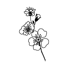 a simple drawing of flowers on a white