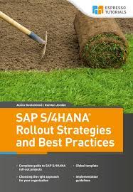sap s 4hana rollout strategies and best