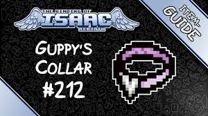 Guppys collar