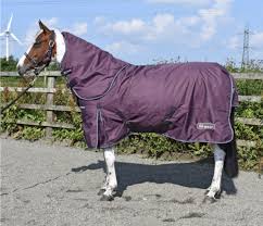 whitaker aster 150g combo turnout rug