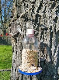 diy plastic bottle bird feeder our