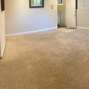 one hour carpet cleaning 53 photos