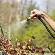 5 best expandable garden hoses 2023