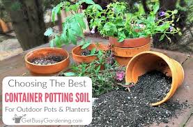 best potting mix for container gardening