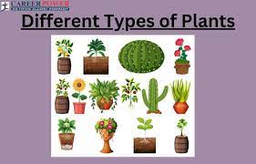 diffe types of plants