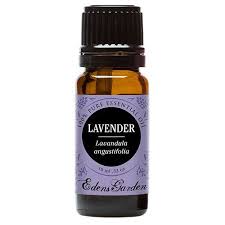 edens garden essential oil lavender 100