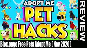 Prezley shows you the newest adopt me codes 2020 how to get totally free cash in adopt me, how to get totally free pets in adopt me and how to hatch legendary in adopt me. Blox Page Free Pets Adopt Me Nov Want Avail Free Pets