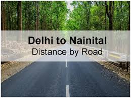 delhi to nainital distance is 325 k m