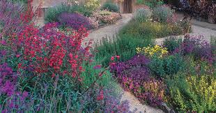 Southern California Garden