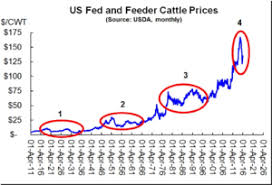 What To Expect Next From The Cattle Super Cycle Hi Pro Feeds