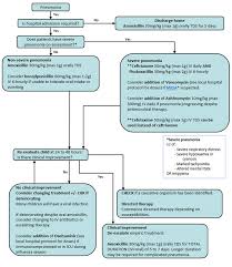 Clinical Practice Guidelines Community Acquired Pneumonia