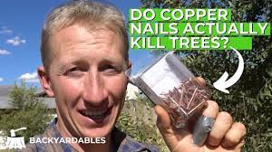 do copper nails actually kill trees