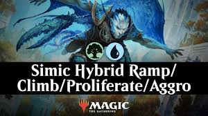 Human hybrids are the most versatile, filling a variety of roles. Simic Hybrid Ramp Climb Proliferate Aggro Youtube