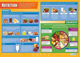 Amazon Com Nutrition Pshe Posters Gloss Paper Measuring