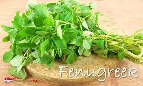 Steep several ounces of seeds in a cup or so of water. Fenugreek Singapore Cheapsupplements Com Sg