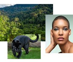 beauty chat big cats for chantecaille
