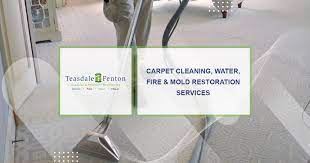 carpet cleaning restoration services