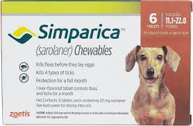 Simparica Flea And Tick For Dogs 5 6 11 Lbs 10 Mg 6 Ct