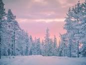 Image result for cold weather scene