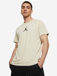 Футболка мужская Nike Jordan Air бежевый цвет — купить за 3739 руб. со  скидкой 15 %, отзывы в интернет-магазине Спортмастер