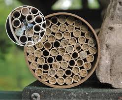 Mason bees bee house orchards diy garden projects kit homes best christmas gifts bee keeping gardens make it yourself. Mason Bee Nest Kit Standard 68 Tube Mason Bee House
