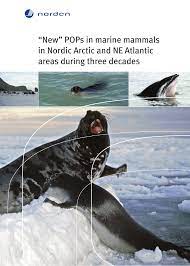 pops in marine mammals in nordic arctic