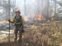 earn wildland firefighter certification