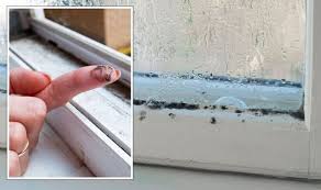 How To Remove Mould From Window Frames