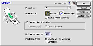 settings in the page setup dialog box