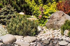 How To Build A Rockery Step By Step