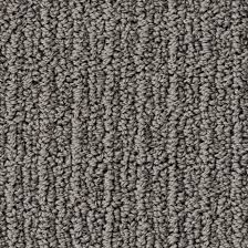 gorgeous grey carpet