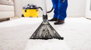 carpet cleaning customers