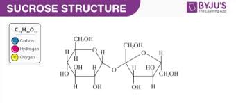 sucrose c12h22o11 structure
