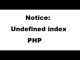 how to solve undefined index error in