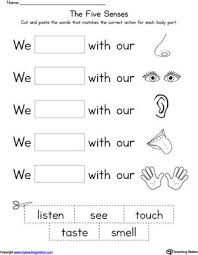 Download and print turtle diary's human body parts worksheet. Pin On 1st Grade Science