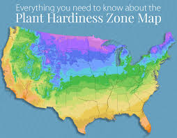 plant hardiness zones