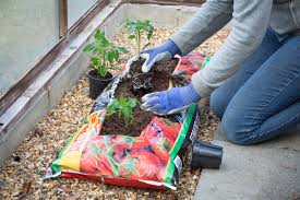 How To Reuse Growing Bags Which