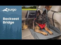 Backseat Bridge Extend Your Backseat