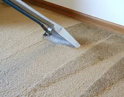 office carpet cleaning services in